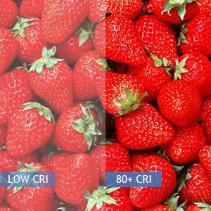 2x4 led troffer 5000k