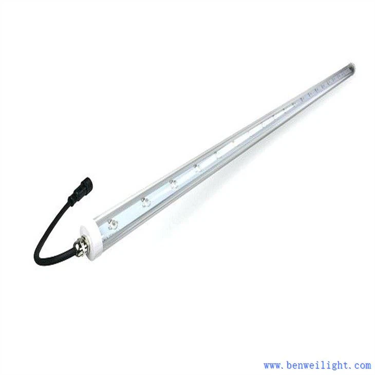 Tube lumineux de 5 pieds VOLAILLE