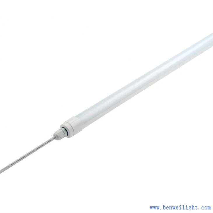 Les poulets ont besoin de lumière UV