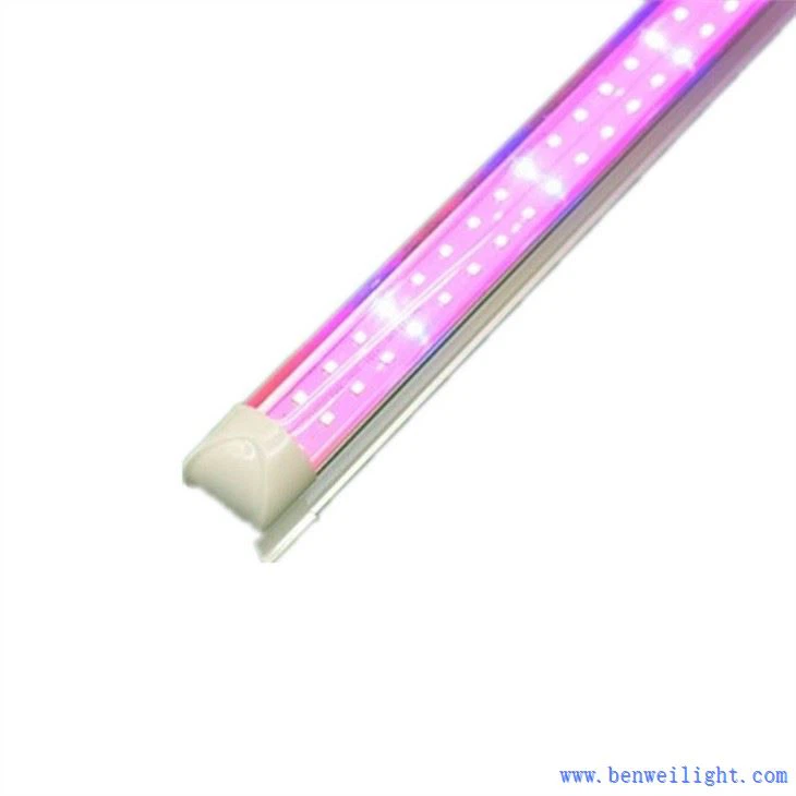 grow light distance from seedlings