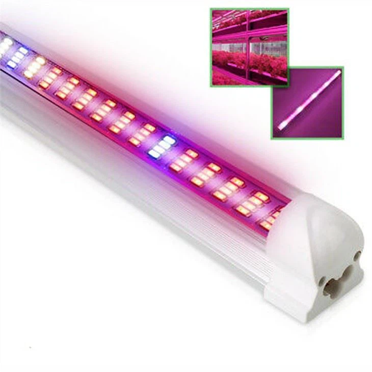 Cultivez la lumière à Home Depot