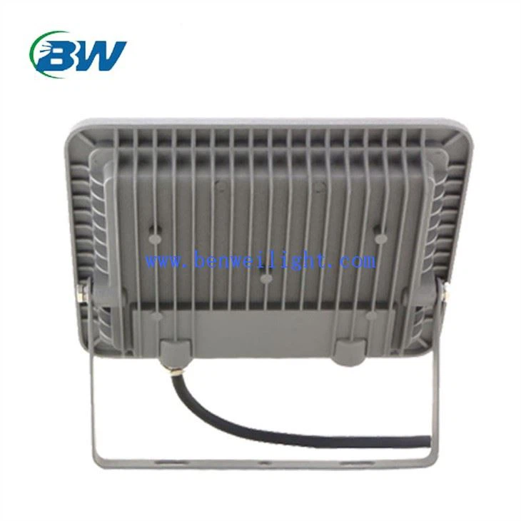 Projecteur de 50 watts