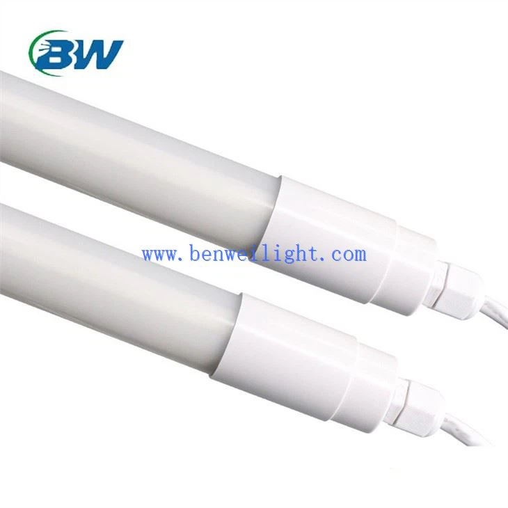 led light bulbs for chicken house