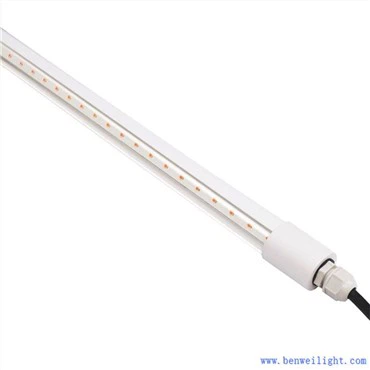 Kit d'éclairage solaire pour volaille