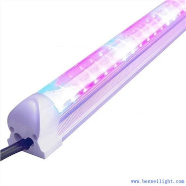 B Cultiver l'éclairage