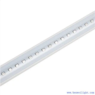 Ampoules à LED Poltry pour poulailler