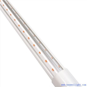 Volaille Light Manager Mini