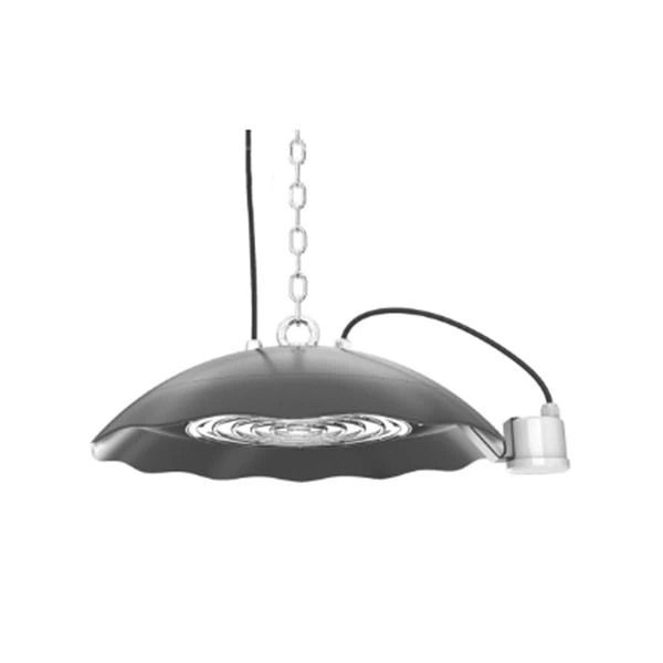 Alimentaire IP69 Led High Bay