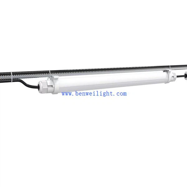 Mushrooom Growing Lighting