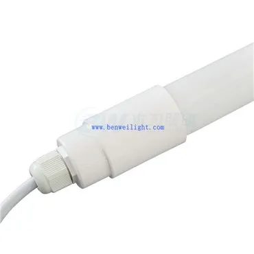 Programme d'éclairage des poulets de chair