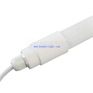 Éclairage LED pour chevaux