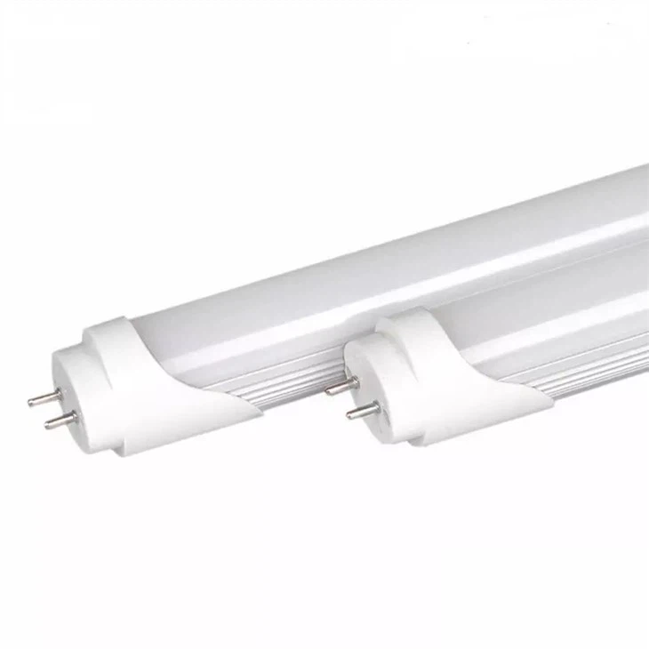 T8 LED Tube Shop Ampoules