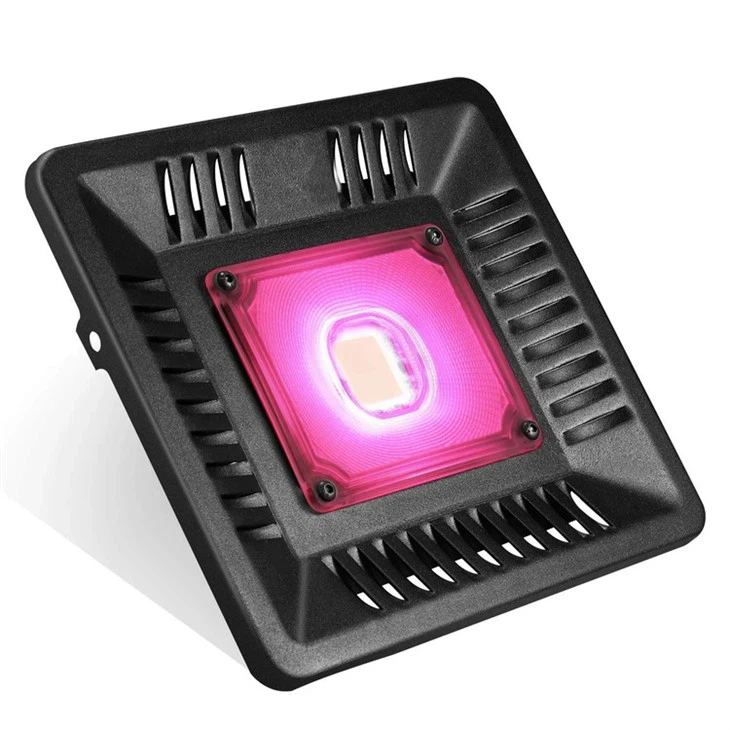 Lampe phyto de culture étanche IP67 100 W