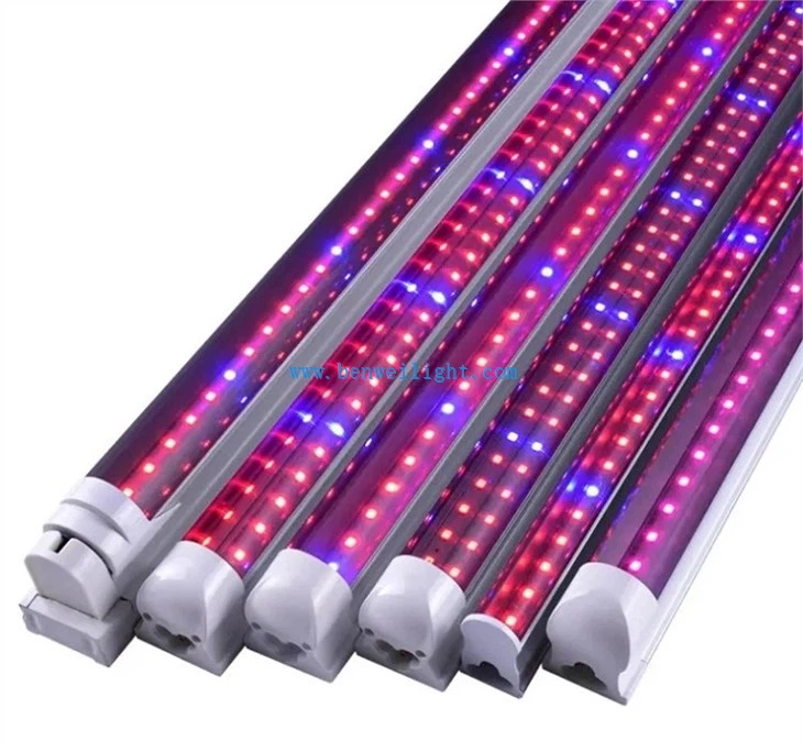 240W LED à spectre complet de haute qualité élèvent la lumière