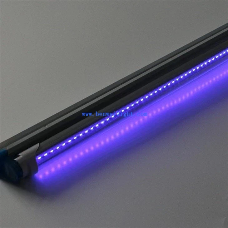 light that kills mosquitoes
