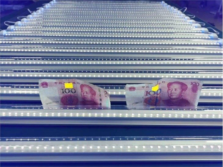 Tubes à lumière noire T8 32w