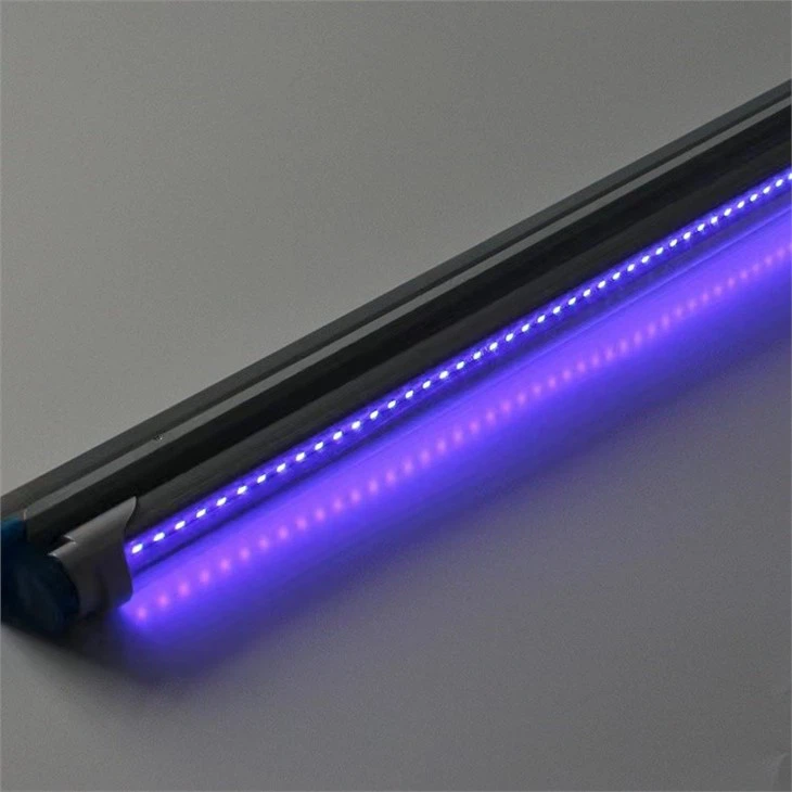 Piège à mouches ultraviolet