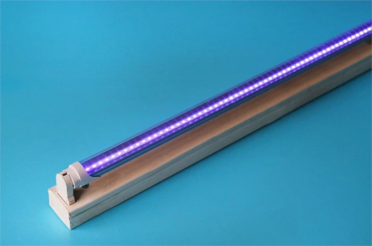 uv light for mosquito