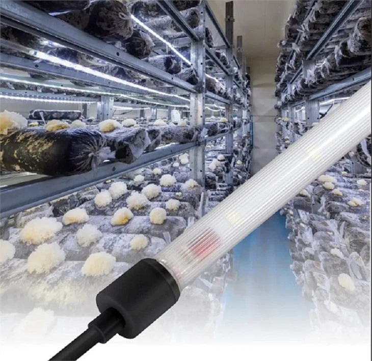 Tube de plante d'intérieur élèvent des lumières