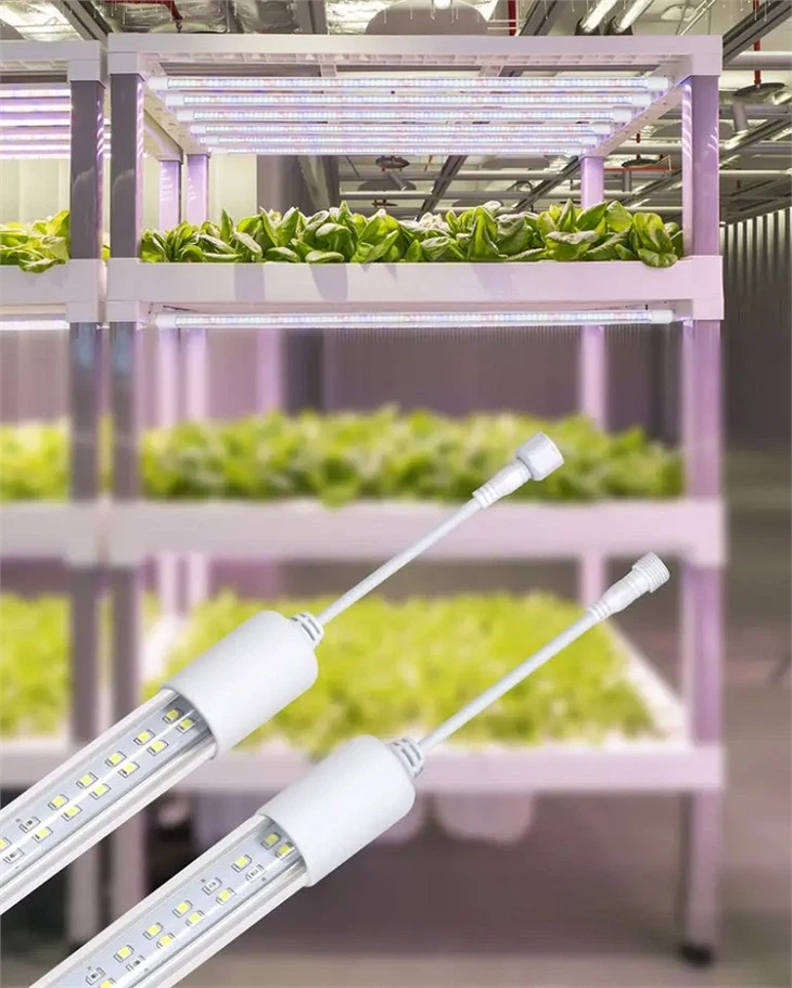 LED T8 4FT élèvent la lumière