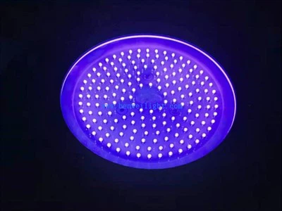 Lumière LED bleue 1000W 440NM 420NM