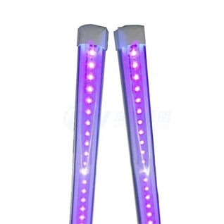 Lumière noire T8 de 4 pieds