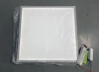 Éclairage de secours à panneau LED 600x600