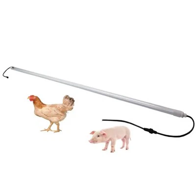 Gradateur de lumière LED pour volaille