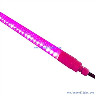 Lumière de croissance T5 à spectre complet