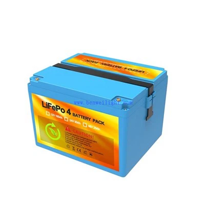 Batterie Lithium Fer Phosphate 12v 100ah Cycle Long