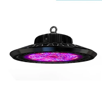 Projecteur LED UVA avec IP65 étanche