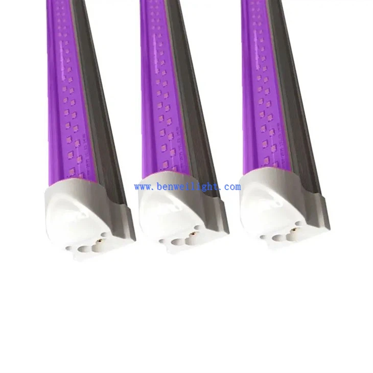 UV led light-3