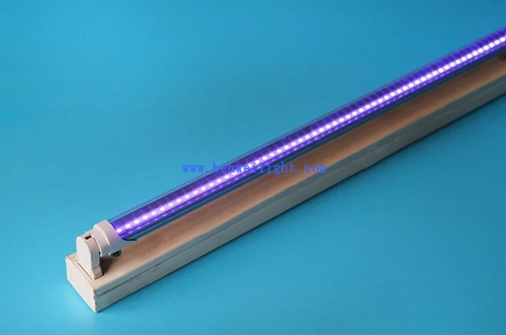 uv light for mosquito