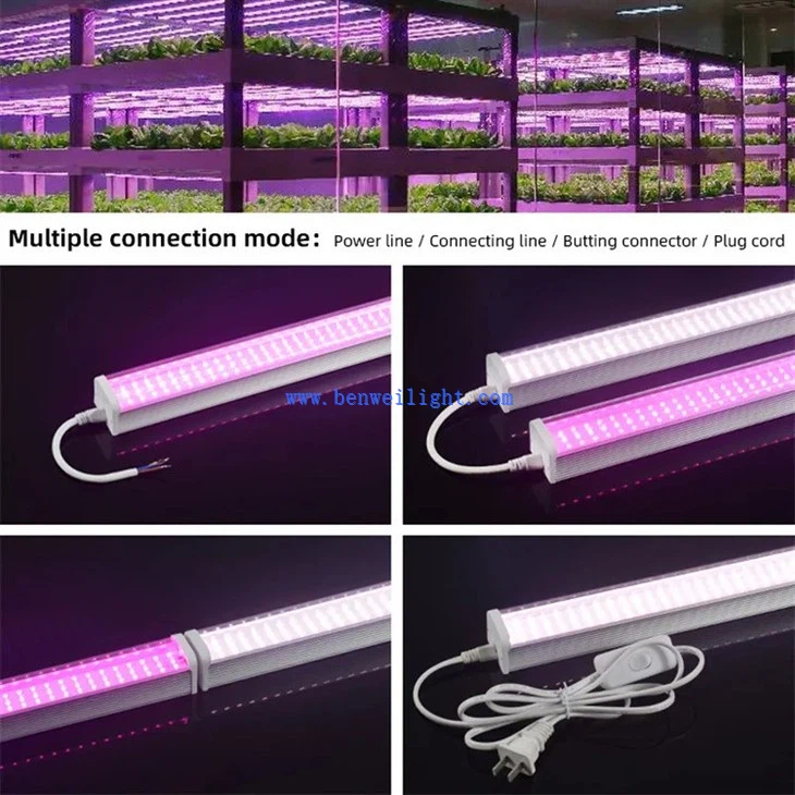 Greenhouse cultivation Led plant growth Light 1
