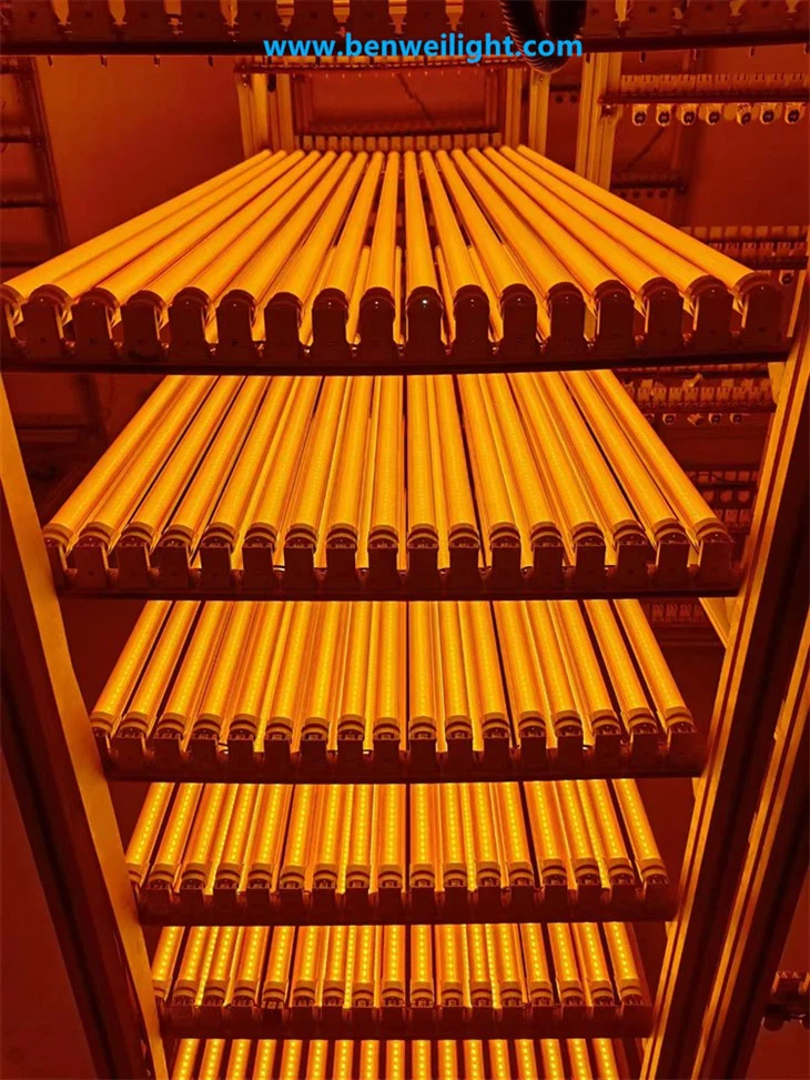 Tube LED T8 anti-UV