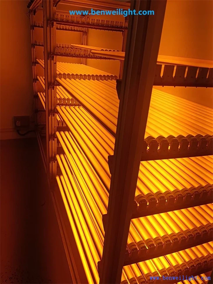 Anti-UV T8 LED Tube suppliers