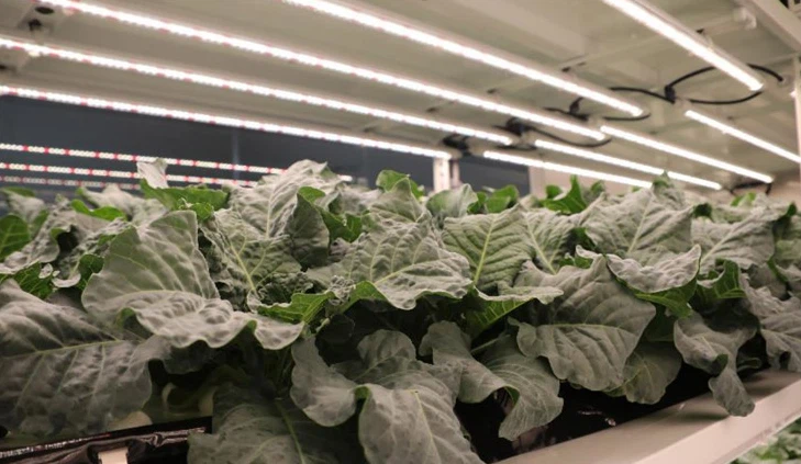 info-729-423 info-729-423