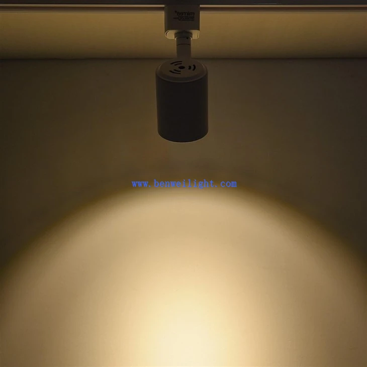 30W high cost-effective cob LED track lighting