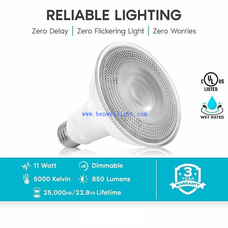 PAR30 Flood Light Bulb 4