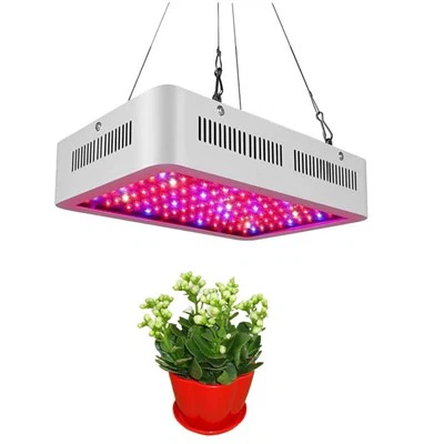 Lampe de culture LED à double puce à spectre complet de 1 000 W