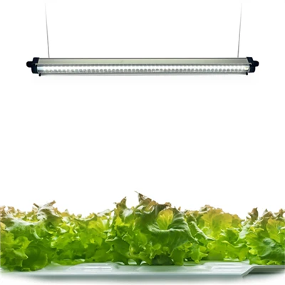 T5 LED élèvent la lumière de plante connectable bleue rouge de spectre complet de tube léger