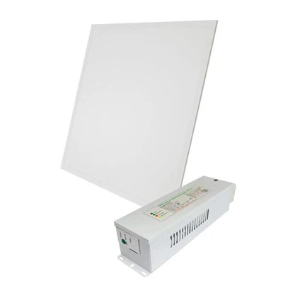 Panneau lumineux d'urgence plat LED 20W