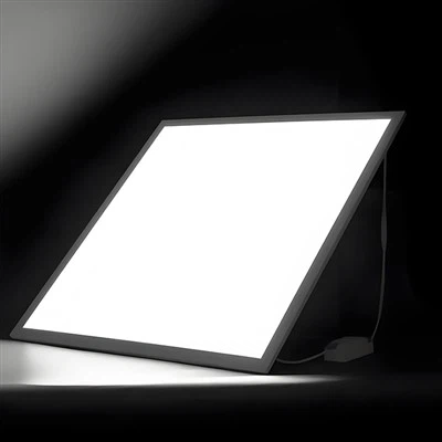 Panneau lumineux d'urgence plat LED 23W