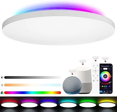 Plafonnier LED à intensité variable 24W 2400lm, plafonnier avec rétroéclairage RVB, télécommande et application