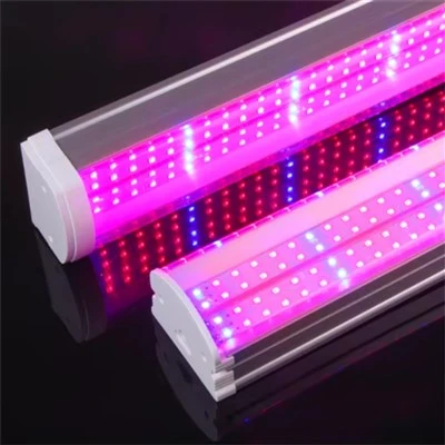 L'usine T20 élève des lumières à intensité variable