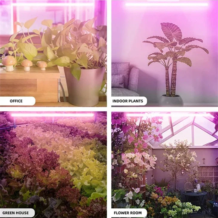 full spectrum led grow lights